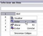cf_acesso_incluir_editora.zoom60